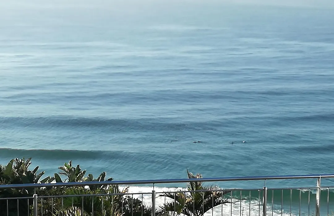 Dolphin Point B&B-1